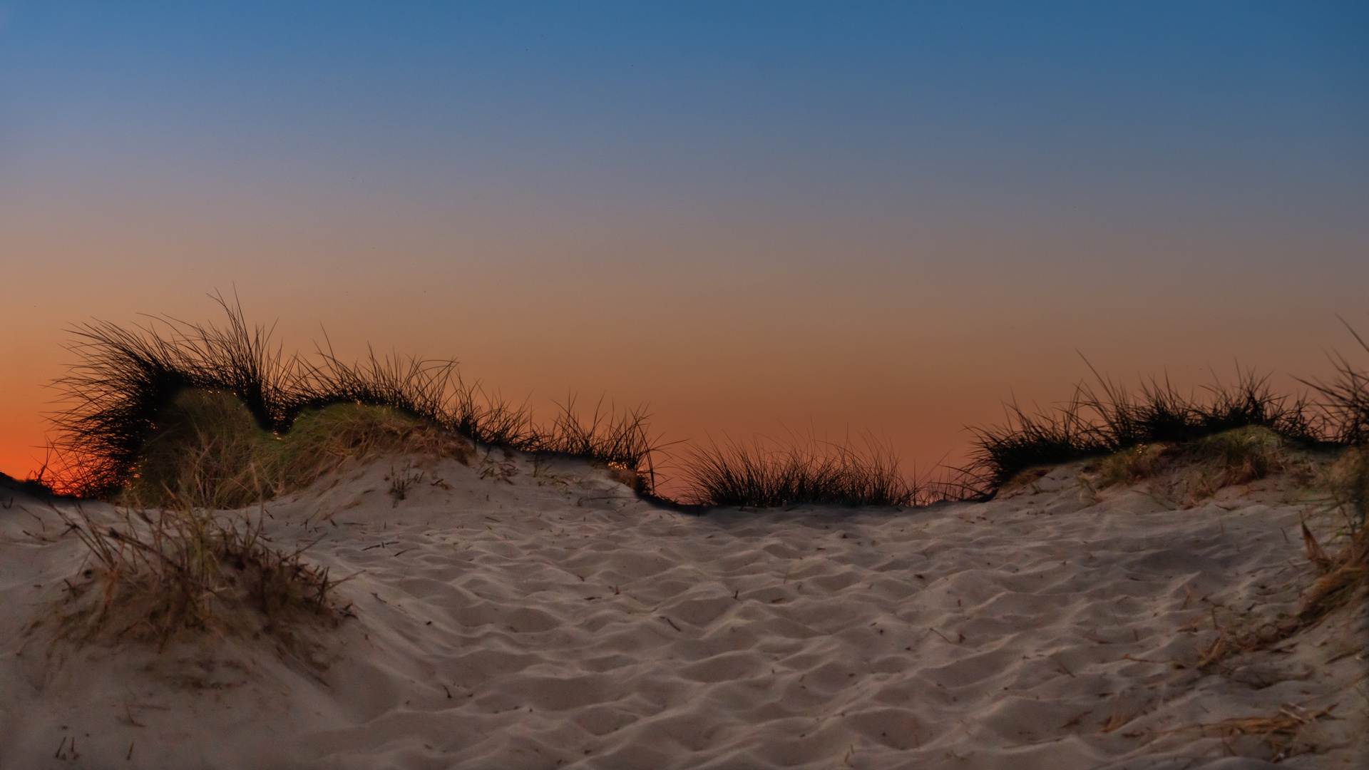 Darß-Fischland. Sonnenuntergang in den Dünen.