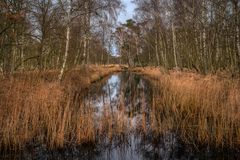 Darß - Nationalpark Vorpommersche Boddenlandschaft