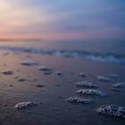 Darß, Prerow - Strand im Sonnenuntergang