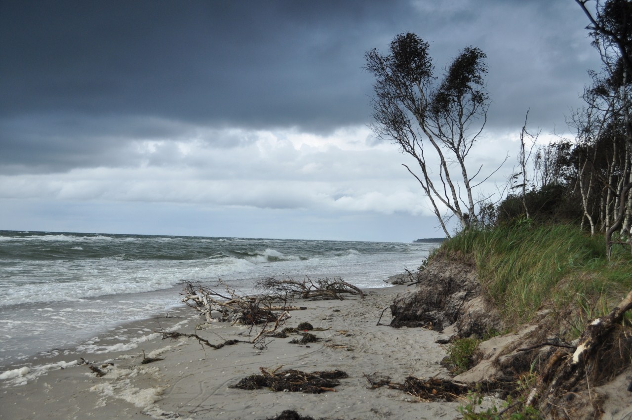 Darß Weststrand (2)