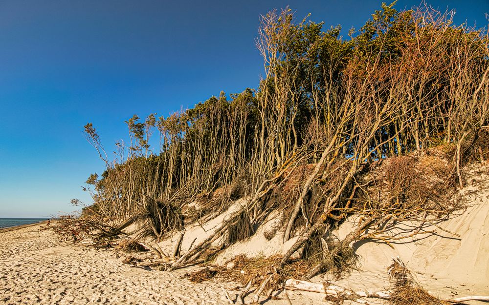 Darß -Weststrand-