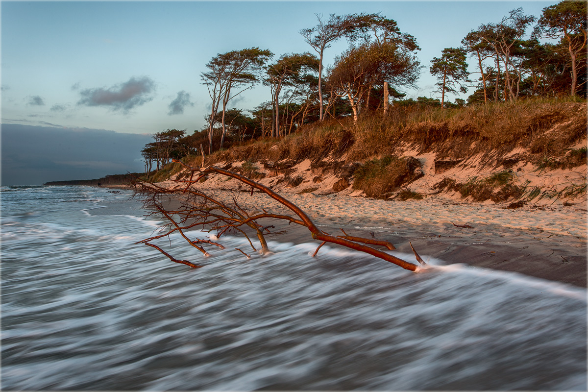 Darß - Weststrand... (3)