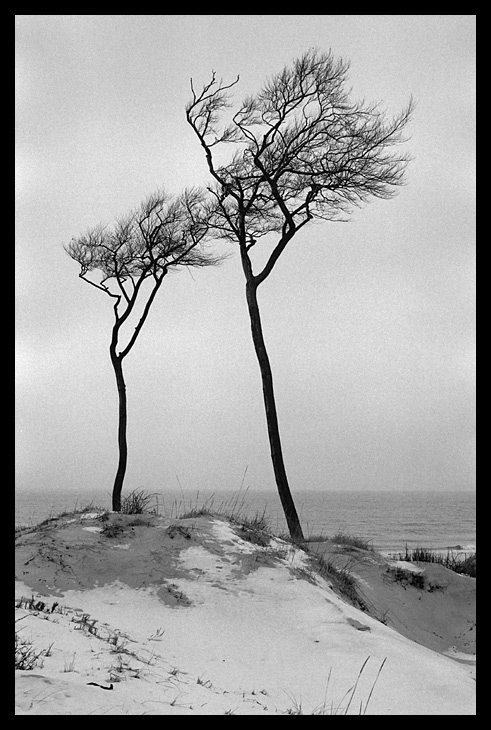 Darß, Weststrand (3)