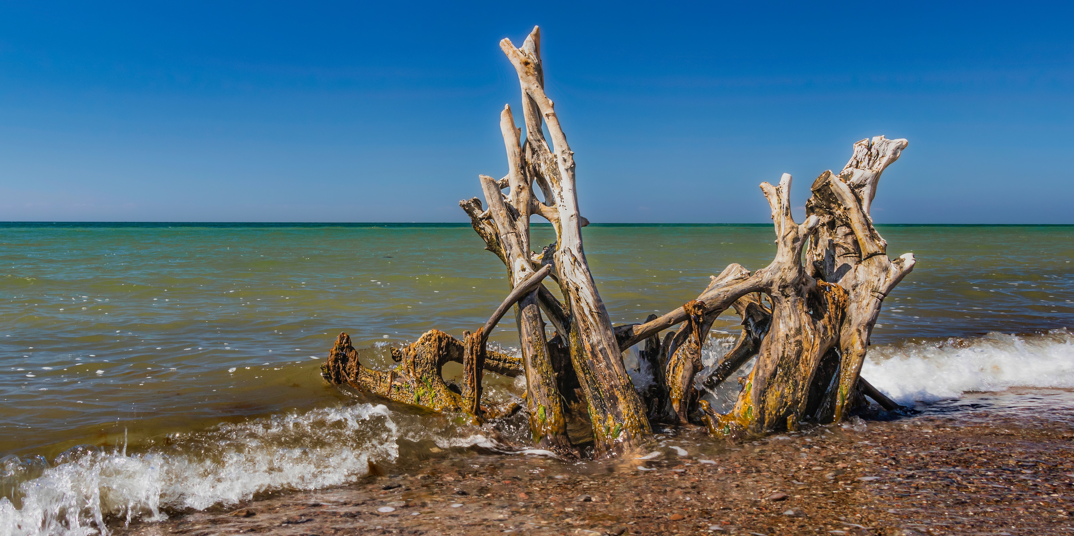 Darß -Weststrand-