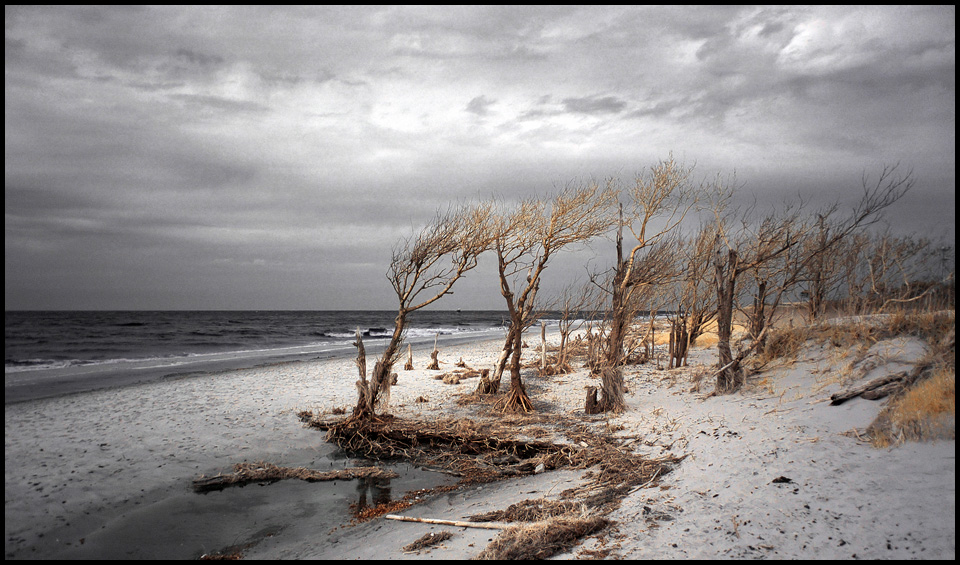 Darß-Weststrand 6