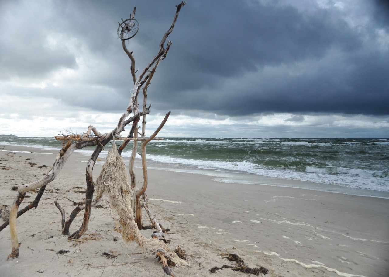 Darß Weststrand