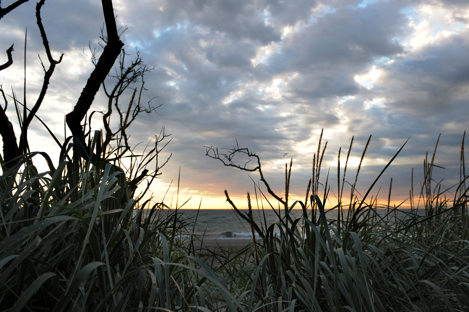 Darß | Weststrand