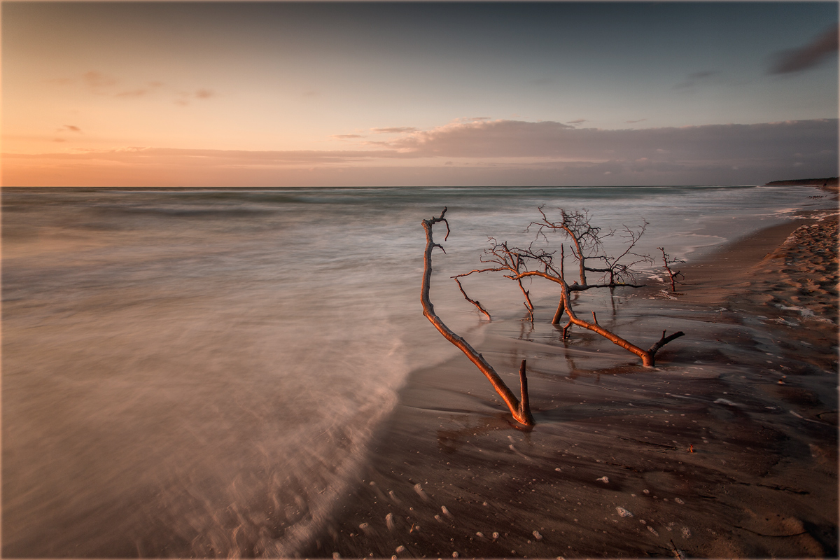 Darß - Weststrand...