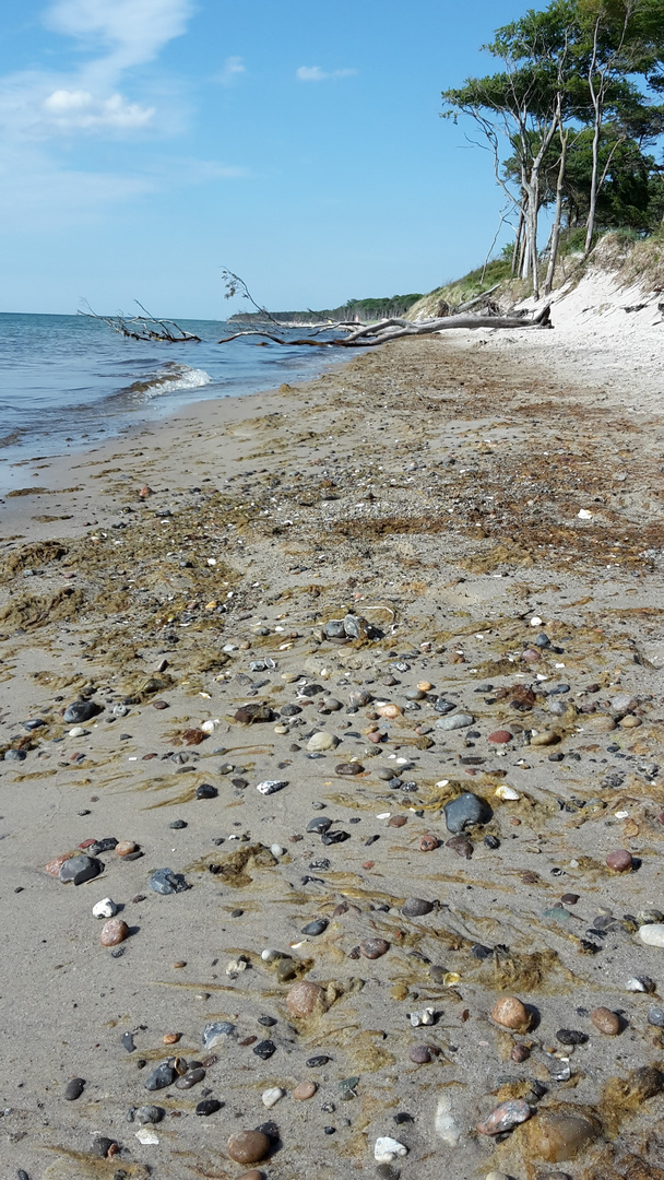 Darß Weststrand