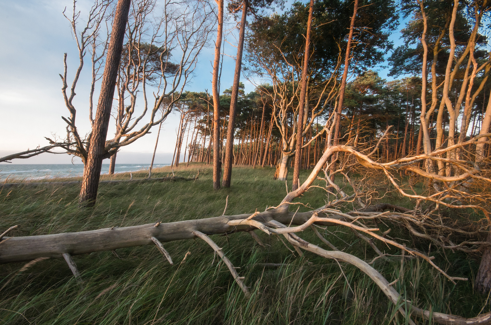 Darss Weststrand Abendstimmung