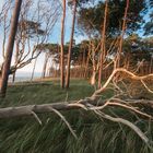 Darss Weststrand Abendstimmung