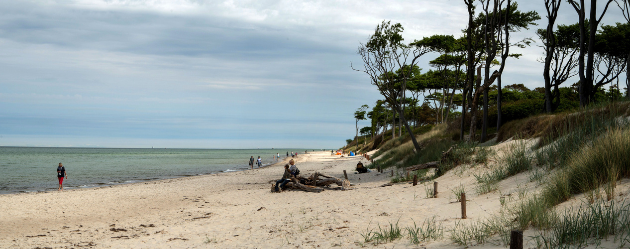 Darß, Weststrand