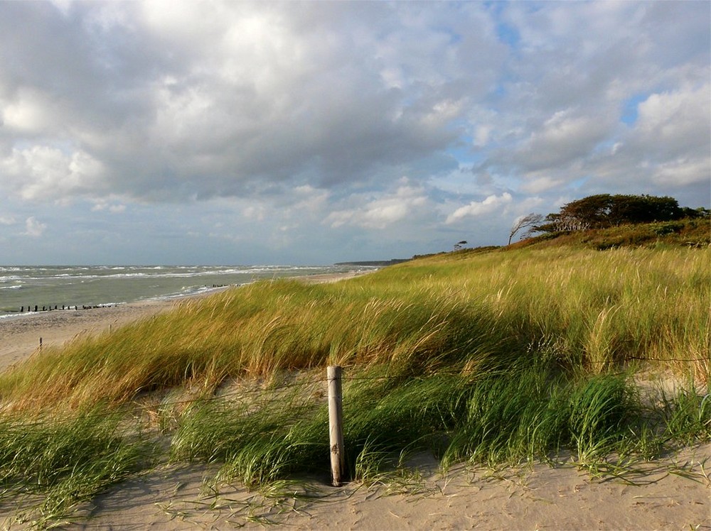 Darß Weststrand bei Sturm