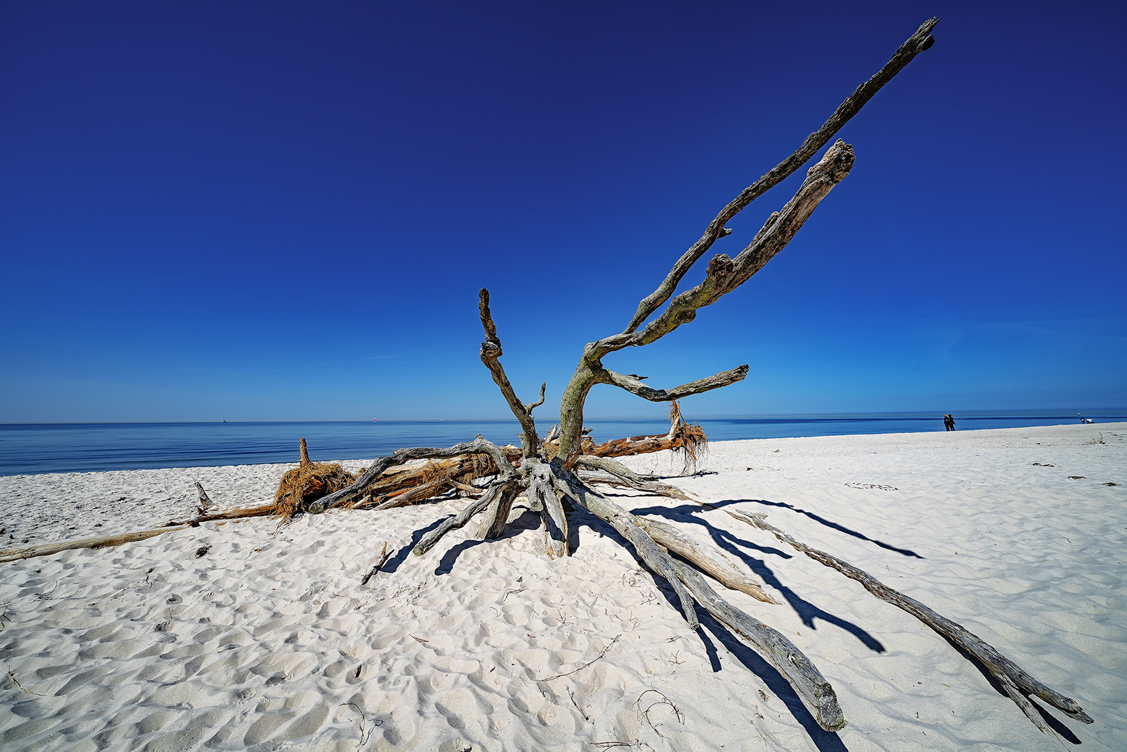 Darß Weststrand