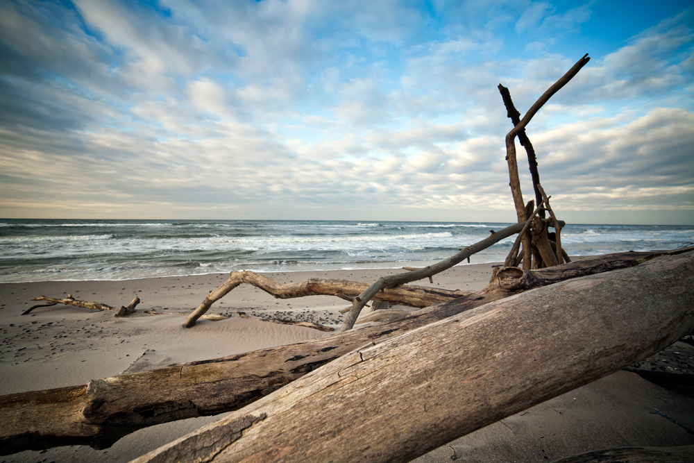 Darß Weststrand Dez. 2011