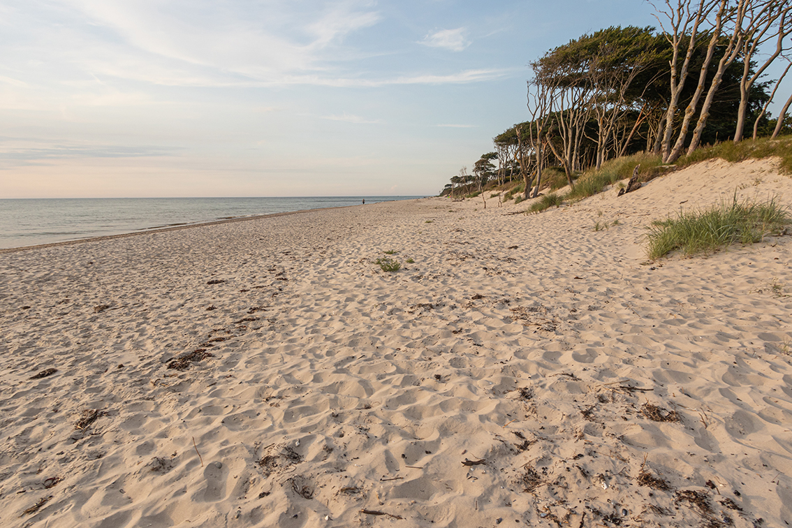 Darß Weststrand