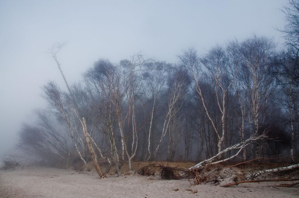 Darß _ Weststrand im Nebel 2