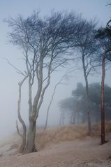 Darß _ Weststrand im Nebel