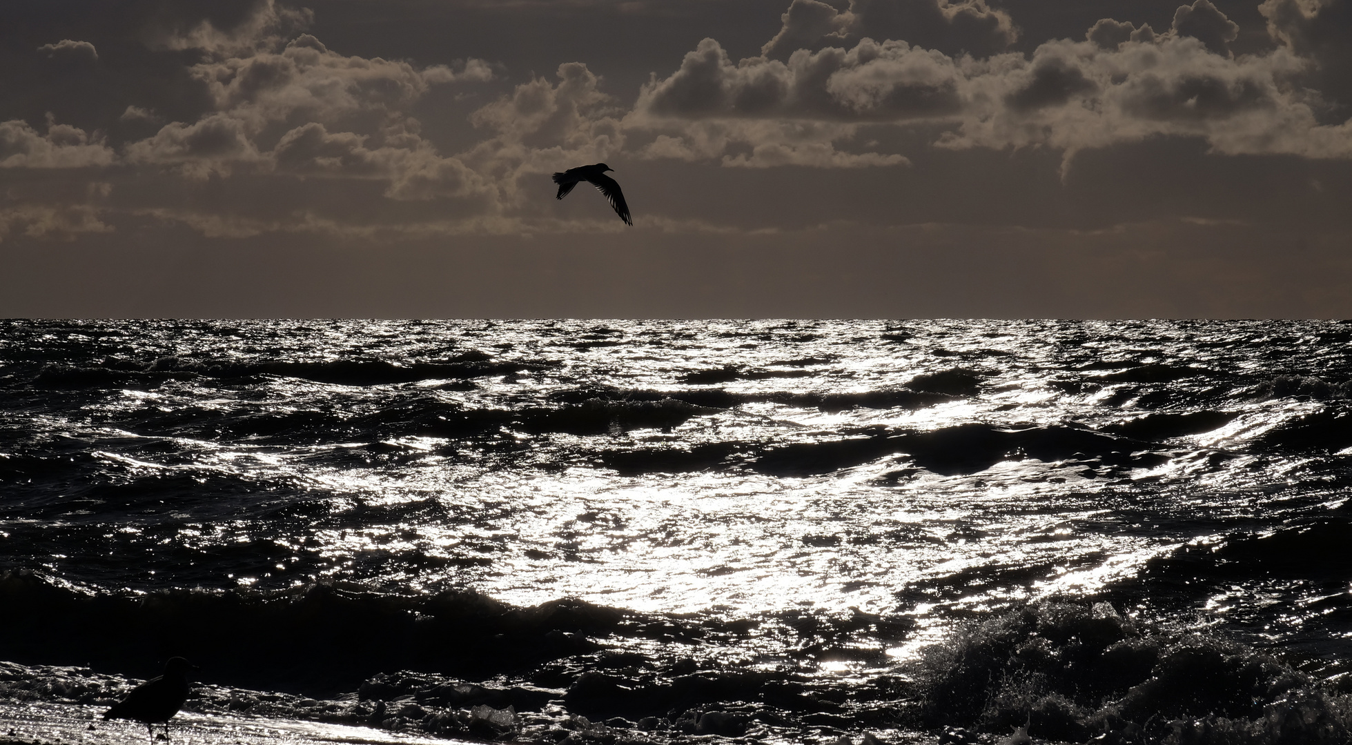 Darss Weststrand_Ostsee