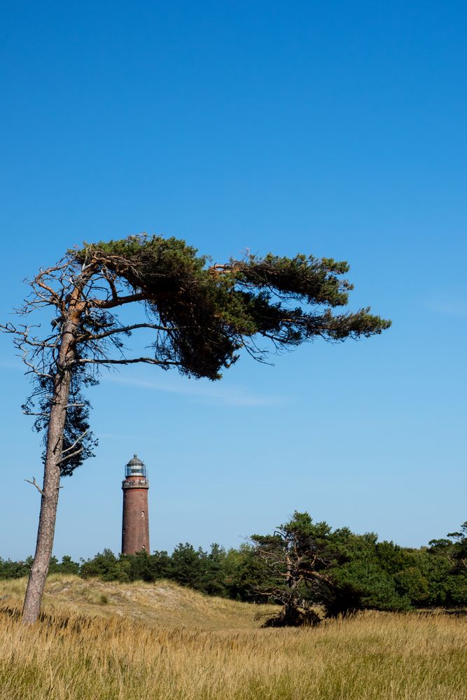 Darßer Leuchtturm