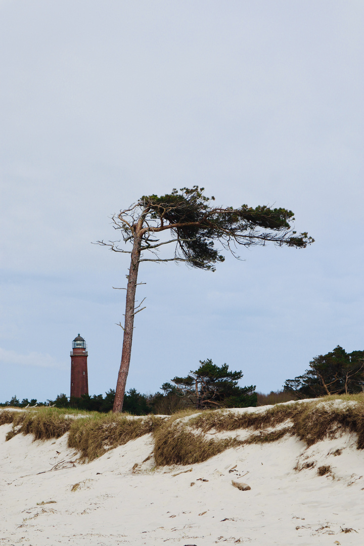 Darßer Leuchtturm