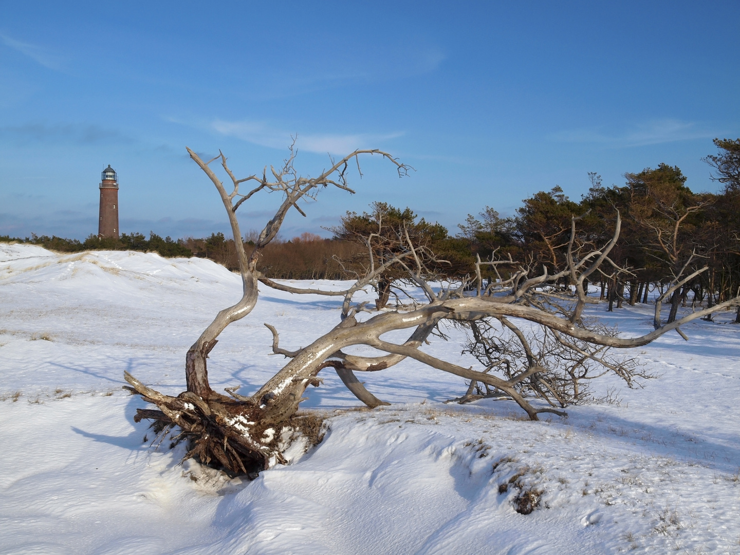 Darßer Ort im Winter