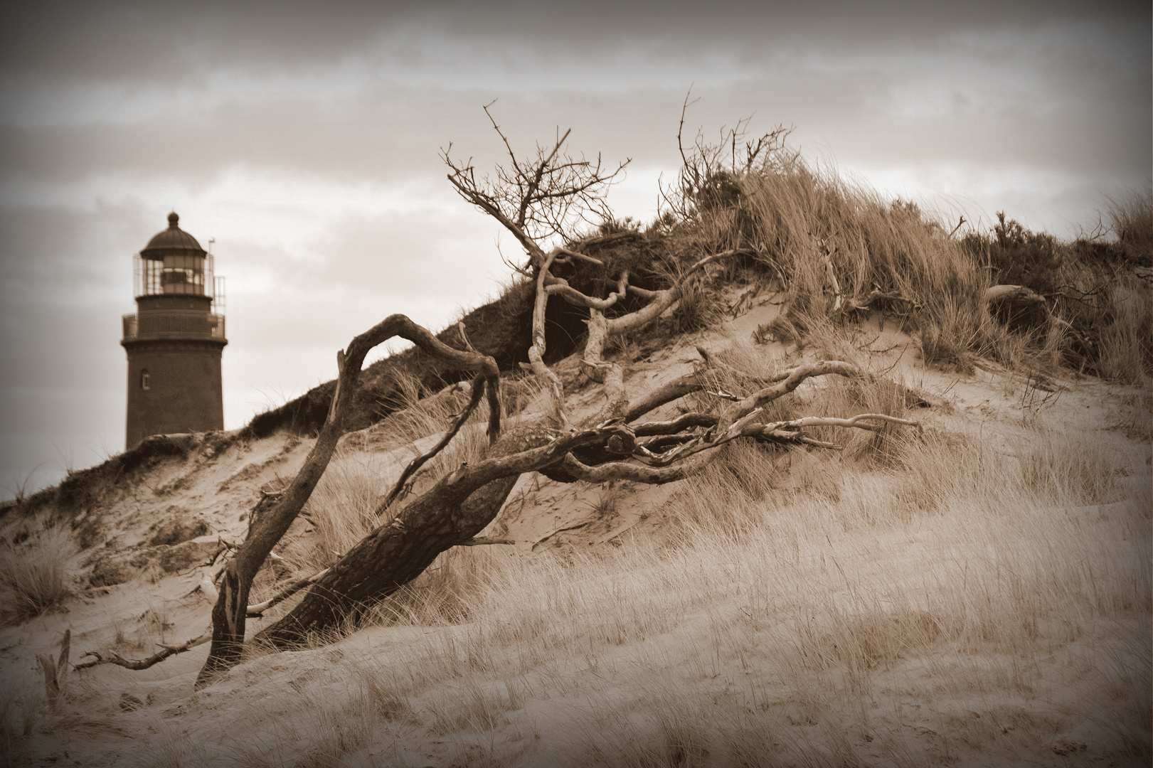 Darßer Ort Leuchtturm und Düne