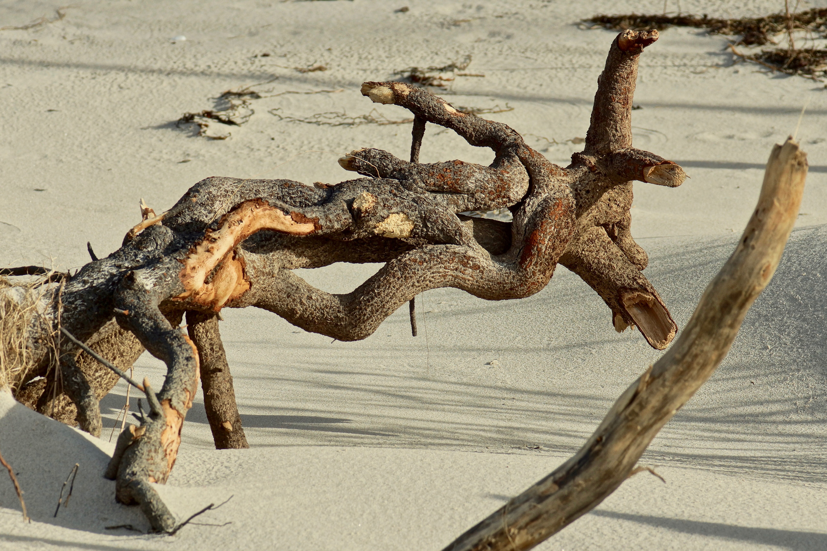 Darßer Ort Weststrand