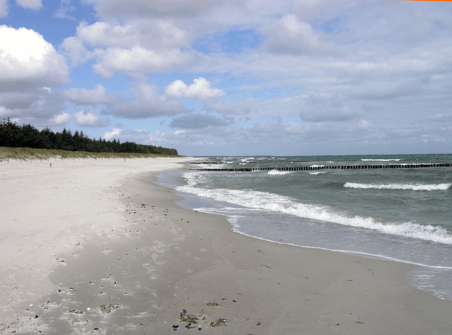 Darßer Strand