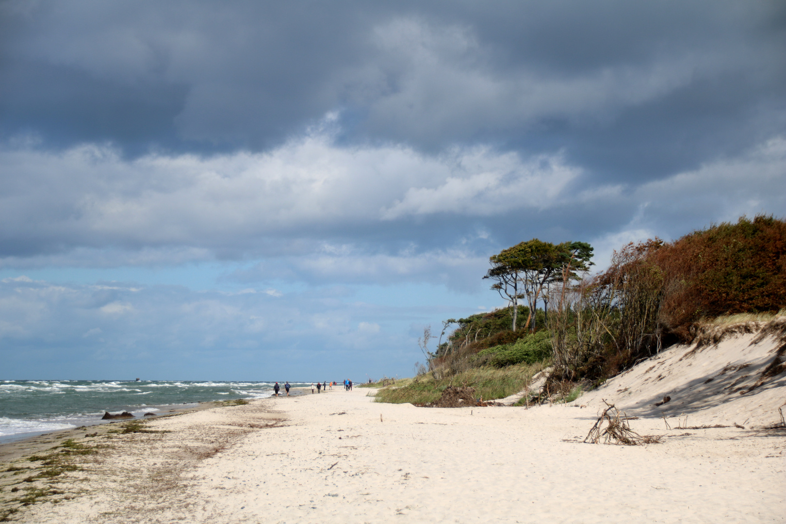 Darßer Weststrand 