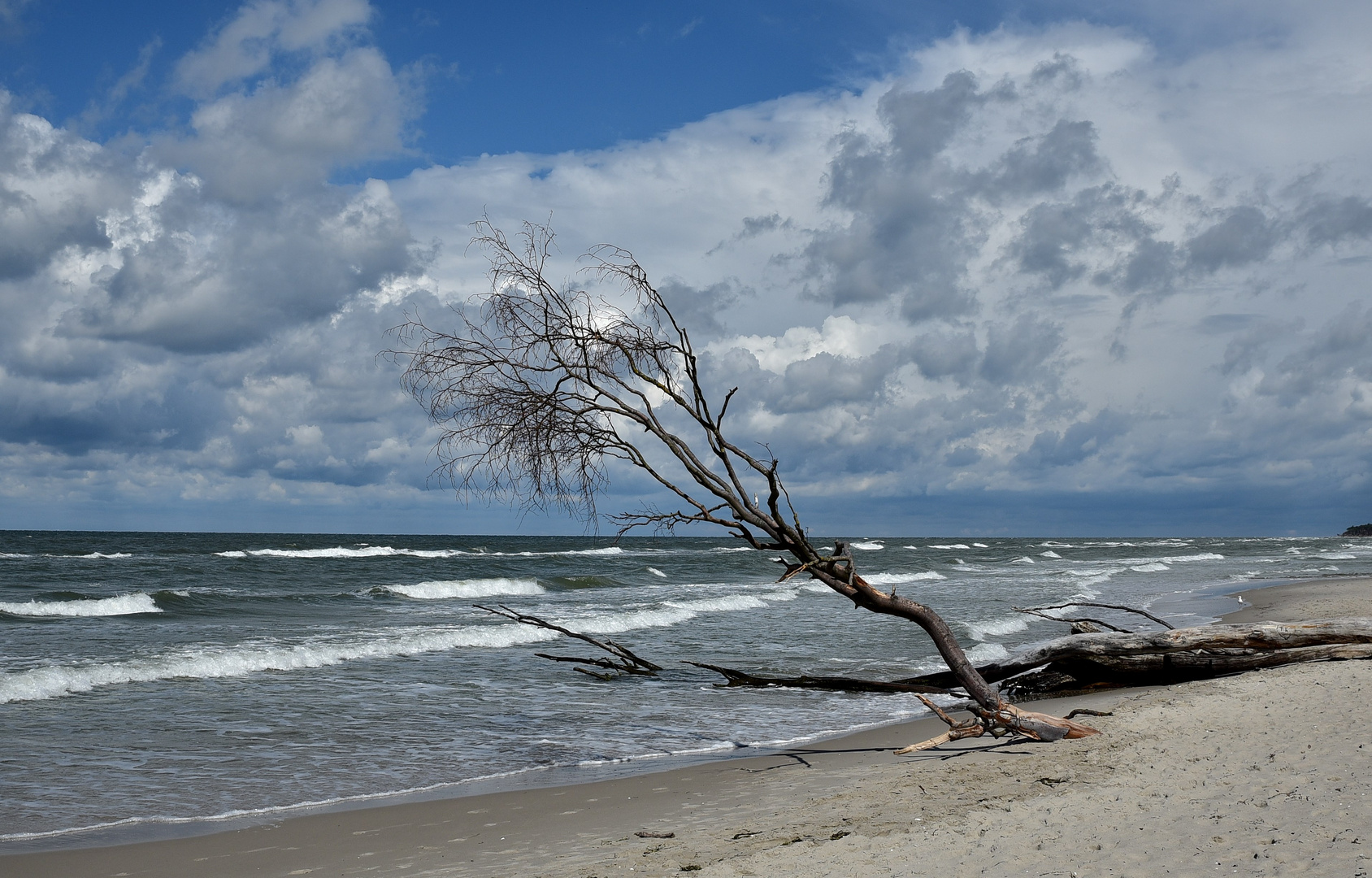 Darßer Weststrand