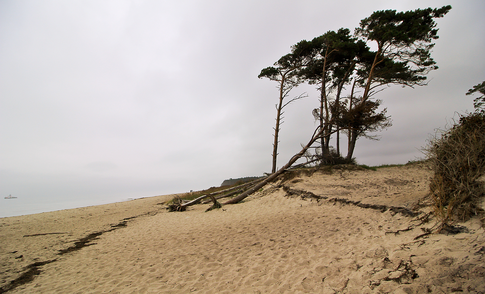 Darßer Weststrand