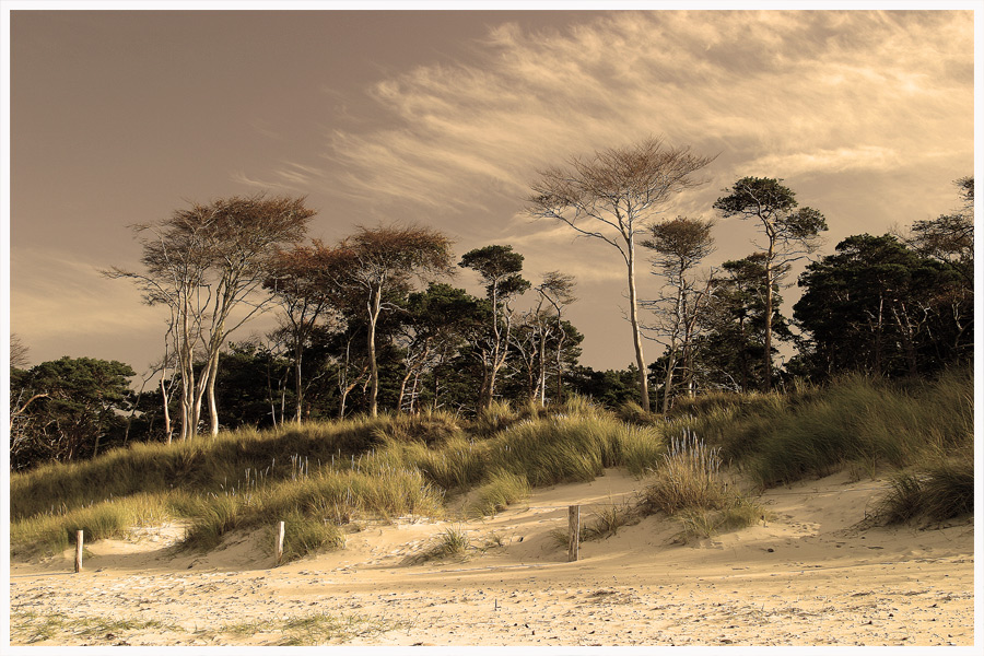 Darßer Weststrand