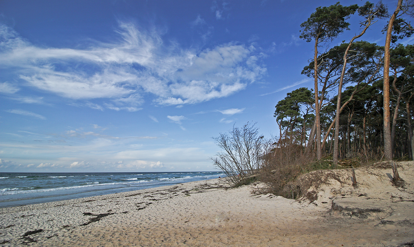 Darßer Weststrand