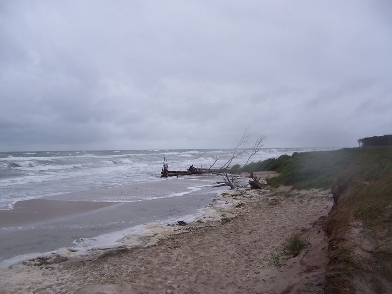 Darßer Weststrand