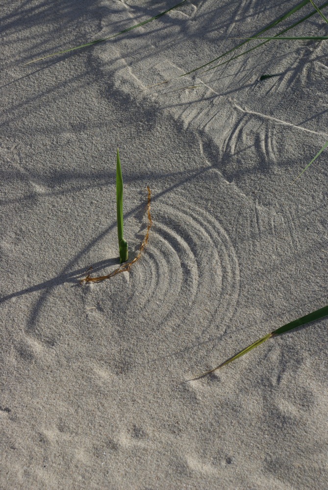 Darßer Zirkel