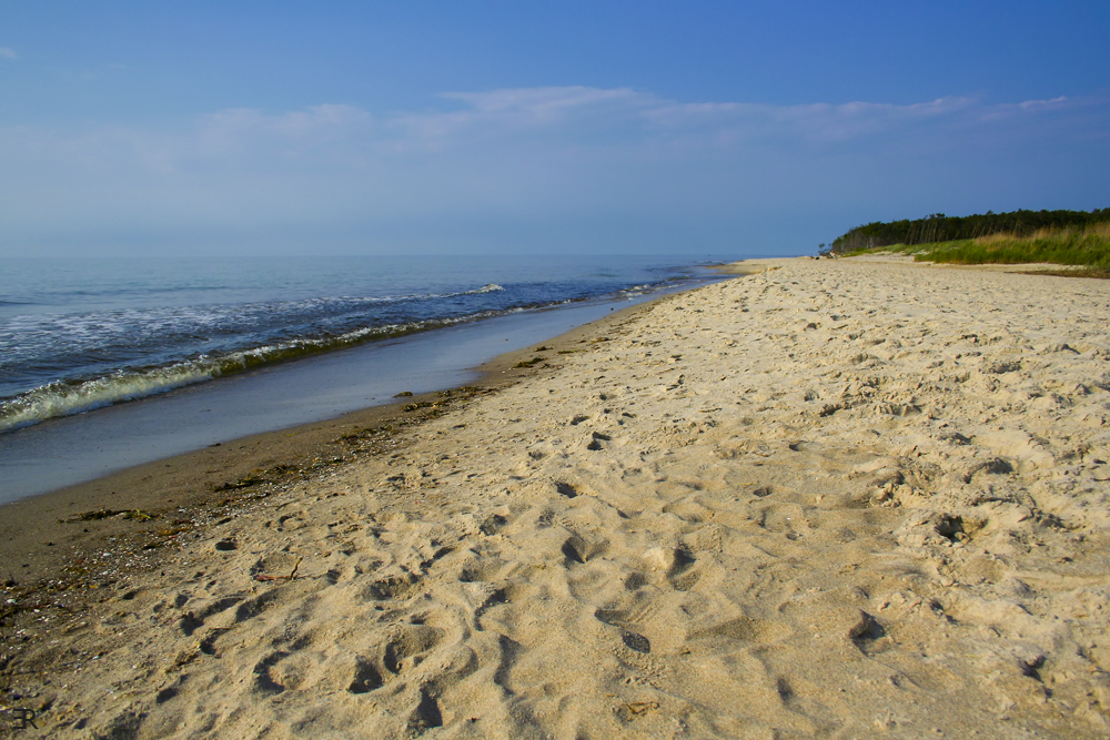 Darßstrand