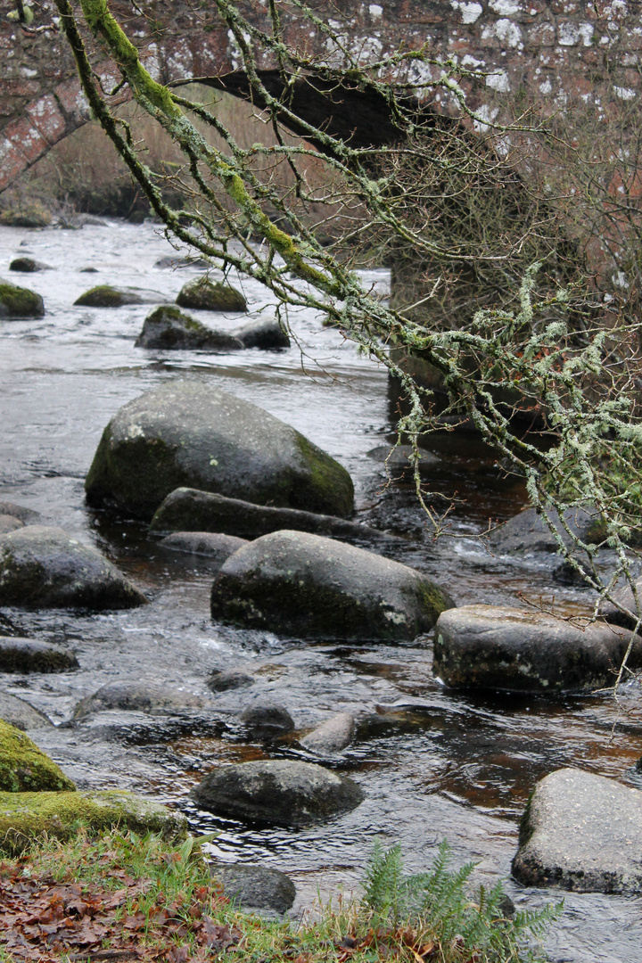 Dart River (Dartmoor)