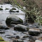 Dart River (Dartmoor)