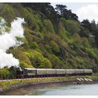 Dart Steam Railway