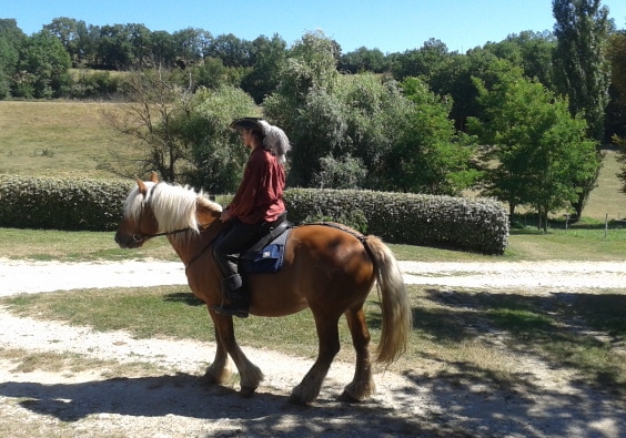 D'artagnan de retour