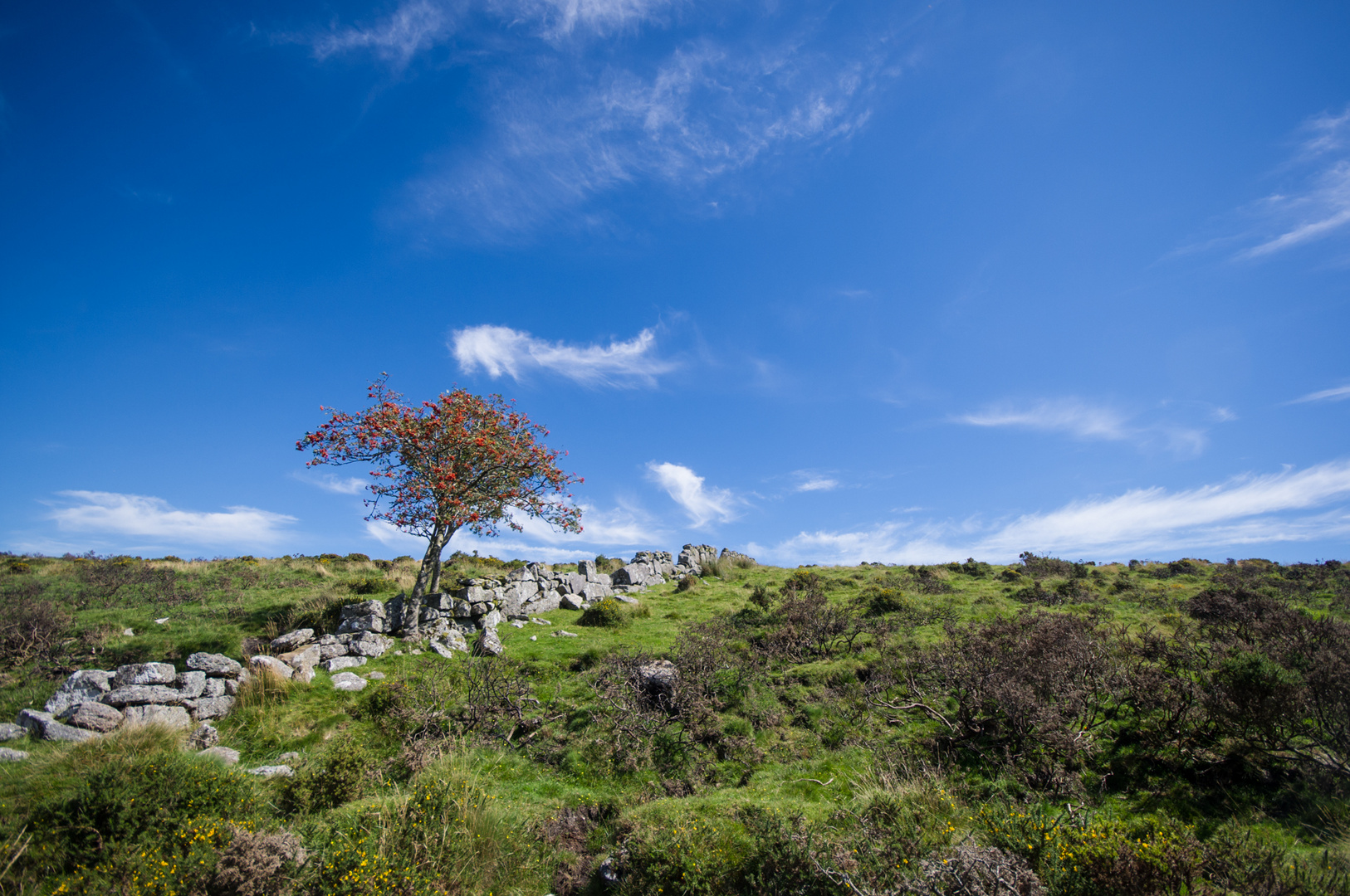 Dartmoor