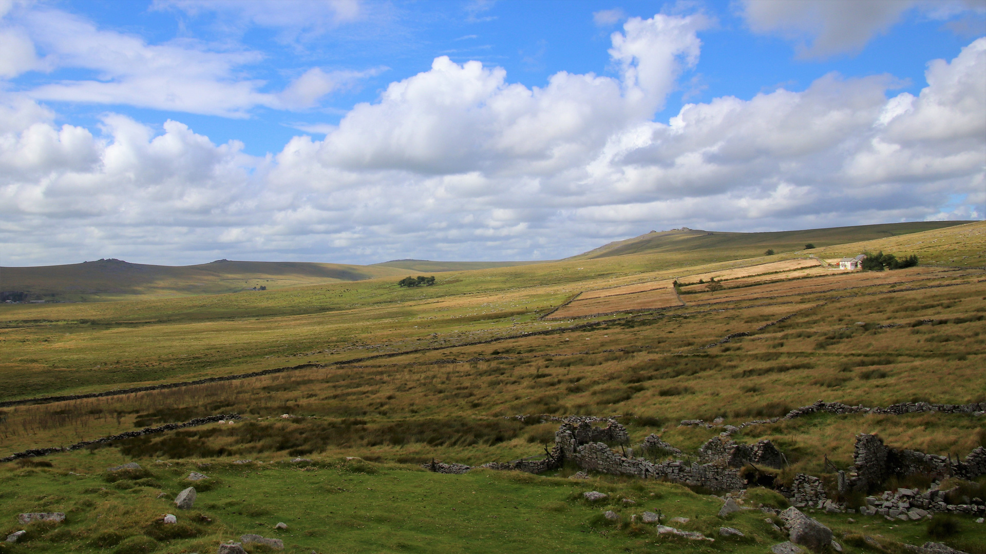 Dartmoor