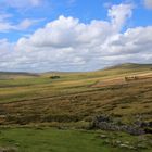 Dartmoor