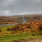 Dartmoor 2