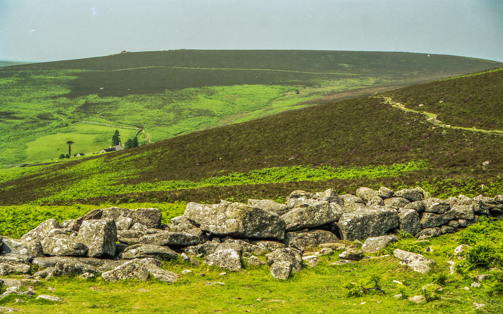 Dartmoor #2 National Park 