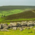 Dartmoor #2 National Park 