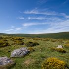 Dartmoor