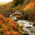 Dartmoor