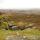 Dartmoor